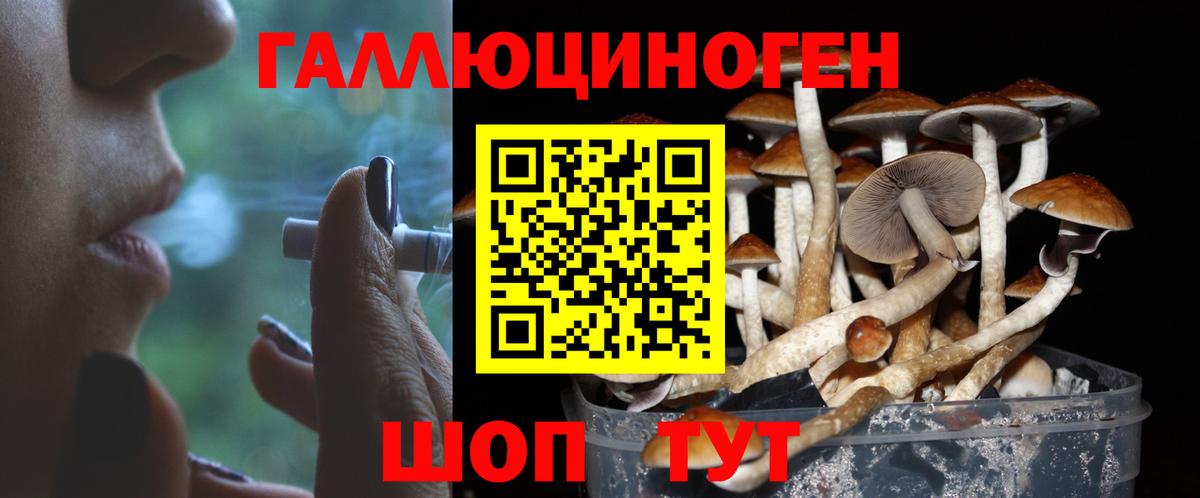 Галлюциногенные грибы ЛСД  Вход с VPN  Шебекино 